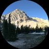 bsu_14
